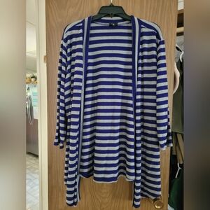 Blue and Gray torrid sweater